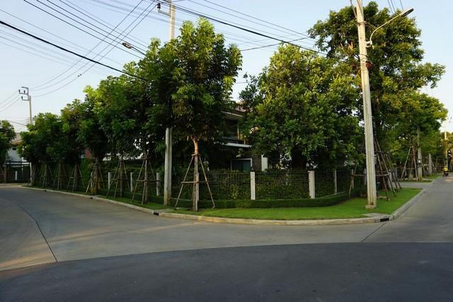 ให้เช่า ขาย บ้านเดี่ยว หมู่บ้าน บุราศิริ ราชพฤกษ์-345 ถนนราชพกฤษ์ ซอยวัดสลักเหนือ นนทบุรี ปากเกร็ด แปลงหัวมุมติดวงเวียน บนถนนหลัก  15