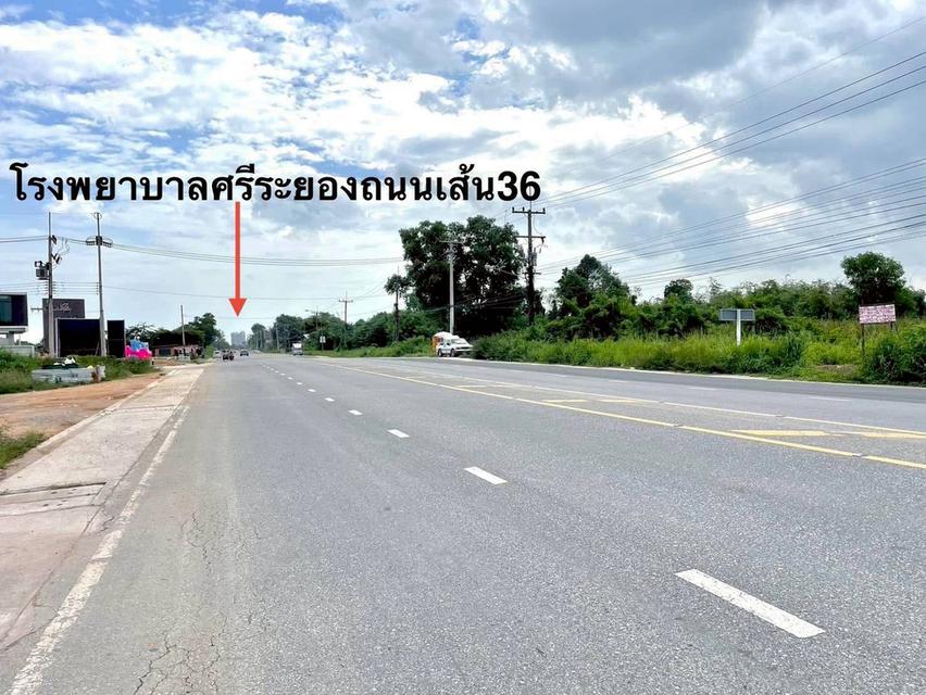ขายที่ดินตาขัน 7 ไร่ ติดถนนเส้นเชิงเนิน-ชากบก ใกล้แยกบ้านดอนถนนเส้น36-2กม. อ.บ้านค่าย จะระยอง 2