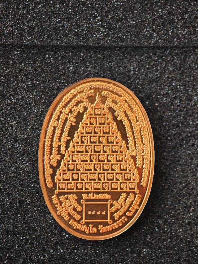 เหรียญกฐินปี 52 หลังยันต์เก้ายอด หลวงปู่ทิม วัดพระขาว รูปย่อยที่ 2