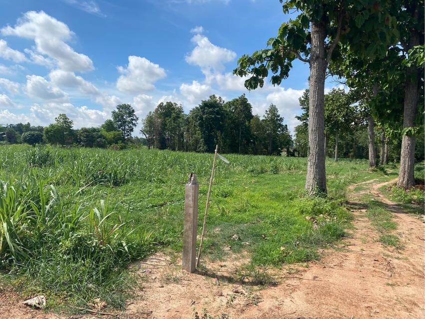 ขายที่ดินสวย จังหวัดกาฬสินธุ์ 