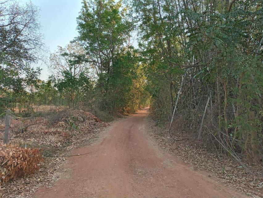 📍ขายที่ดินเปล่า ในพื้นที่ของ อ.พระยืน จ.ขอนแก่น