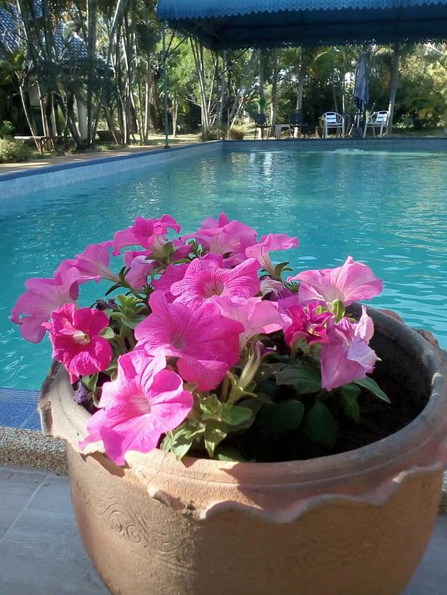 mini product image 4