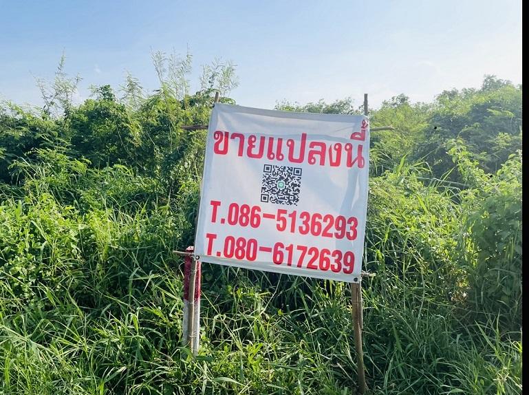 ที่ดิน 1