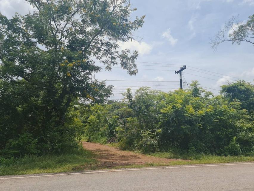 ขายที่ดิน 57 ไร่ ไกล้โรงงาน CPF อุดรธานี 2