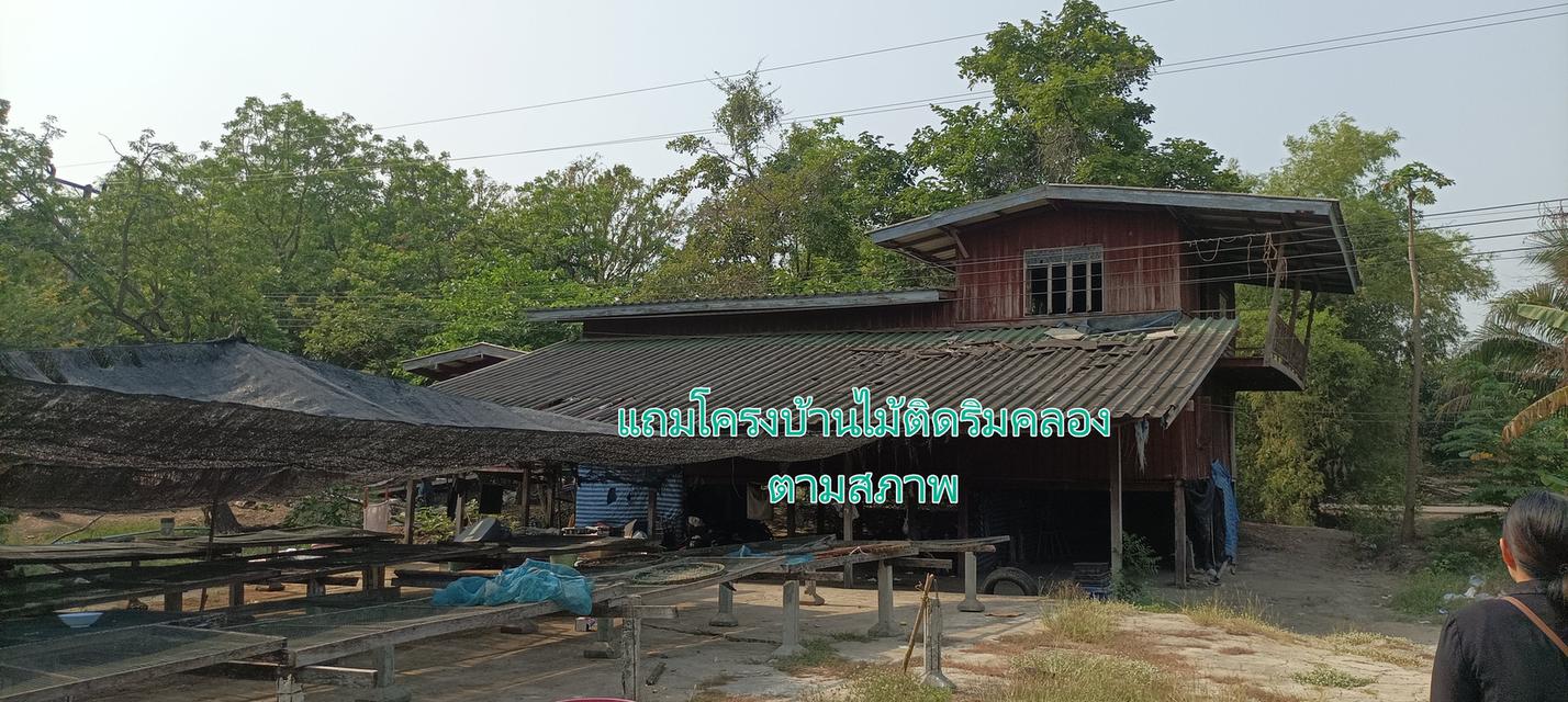 ที่ดินติดถนน 346 บางเลน ที่อยู่ด้านข้างและด้านหลัง อบต.บางภาษี เนื้อที่ 11ไร่ ลดพิเศษ เหลือไร่ละ 1.5 ล้าน 3