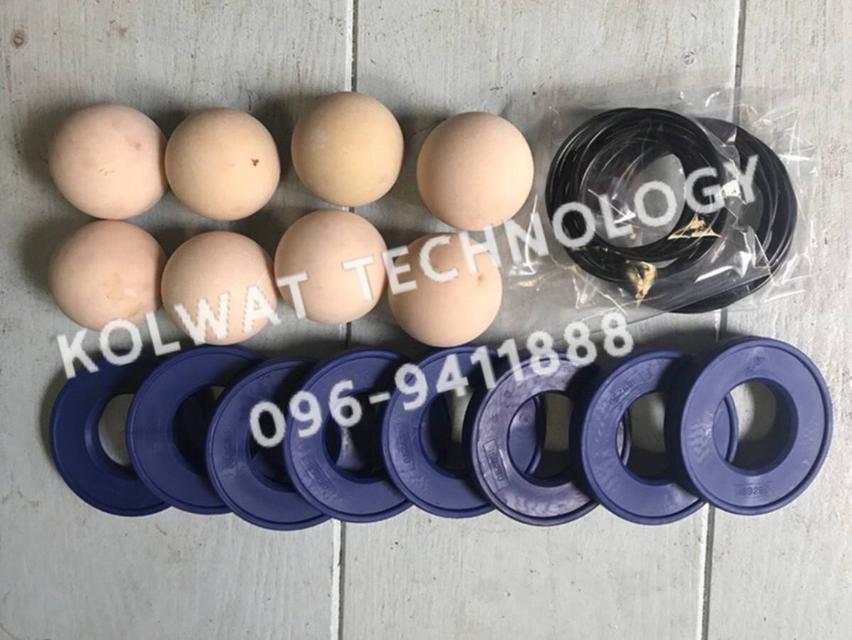 อะไหล่ปั๊มไดอะแฟรมทุกชนิด