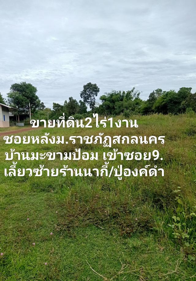 ขายที่ดินว่างเปล่าที่เมืองจังหวัดสกลนคร 2