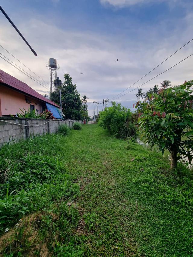 ขายที่ดิน 635 ตรว. พร้อมบ้านสวน และบ่อปลา 2