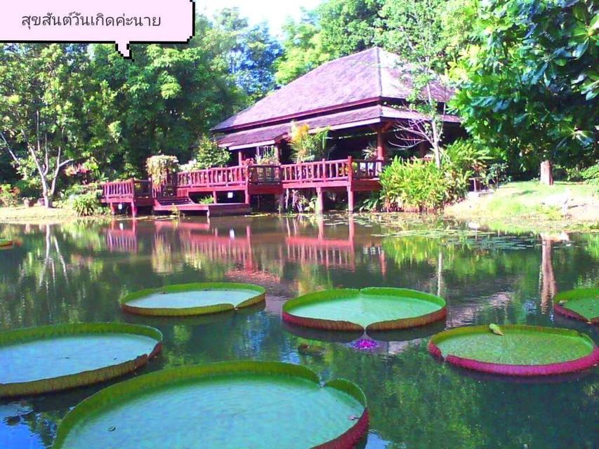 ขายที่ดินพร้อมสิ่งปลูกสร้าง บ้านไม้สักพร้อมสวน 20 ไร่ 2 งาน 59 ตร.ว. ทิศใต้ติดเนินเขา ชะอม แก่งคอย สระบุรี 5