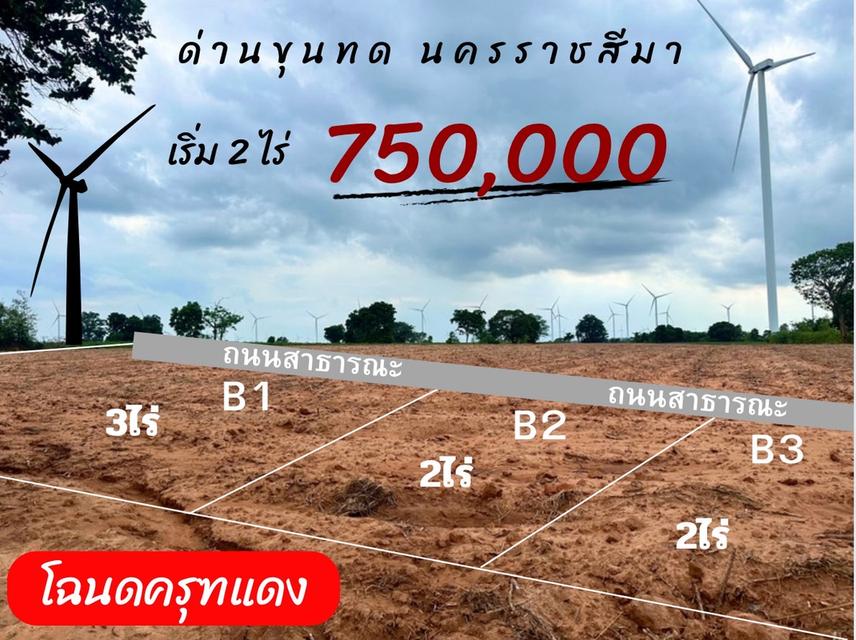 ที่ดิน ด่านขุนทด นครราชสีมา 1
