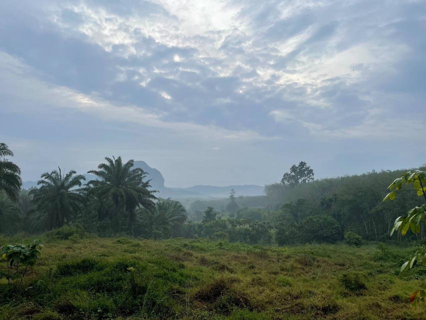 รีสอร์ทจังหวัดกระบี่ ใกล้อ่าวนางพร้อมเปิดกิจการ 7