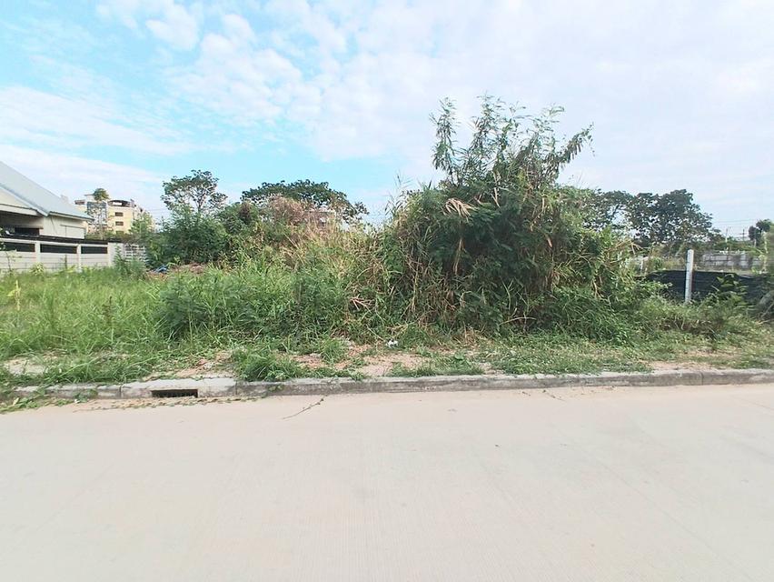 ที่ดิน 56.1 ตารางวา ถมแล้ว ซอยเฉลิมพระเกียรติ 39/2 ติดสวนหลวงร 9 เขตประเวศ กรุงเทพฯ 4