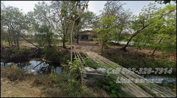 ที่ดิน ที่ดินบางพระ เมืองฉะเชิงเทรา 17697750 B. 2359 ตร.วา ราคาน่าลงทุน 1