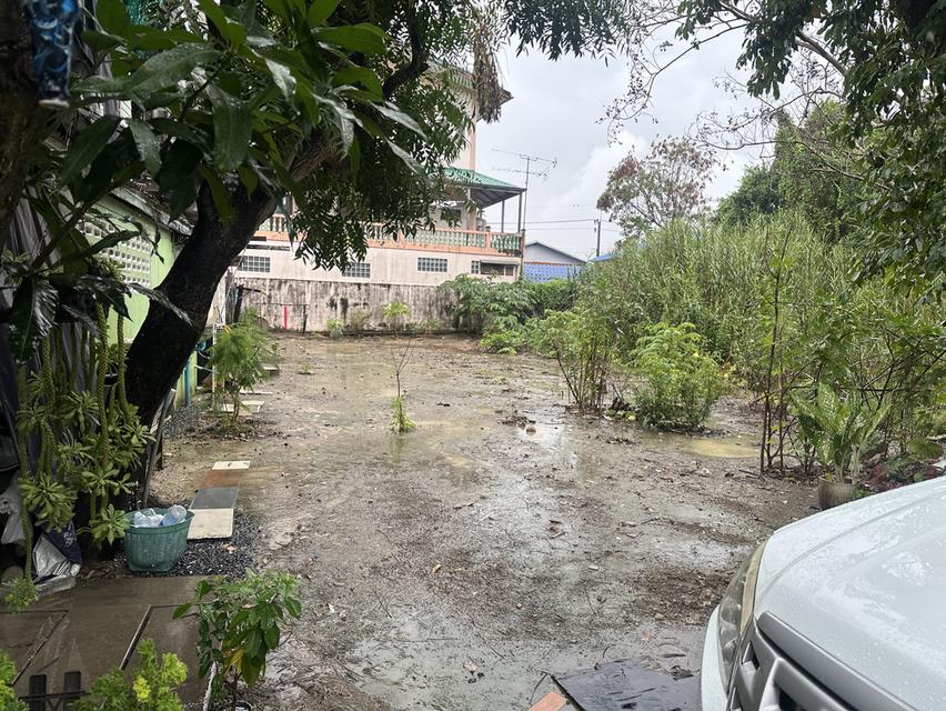 ขายที่ดินถมแล้ว พร้อมปลูกบ้าน ราคาไม่ถึงล้าน ซื้อลงทุนหรืออยู่อาศัยก็คุ้ม ต.บางขะแยง จ.ปทุมธานี 2