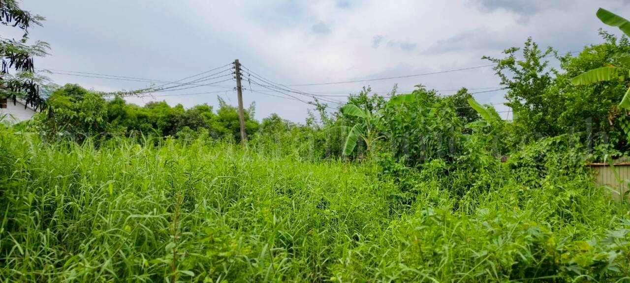 ที่ดินเปล่า 100 ตร.วา หลักหก ติดรถไฟฟ้าสายสีแดง ราคาถูก 7