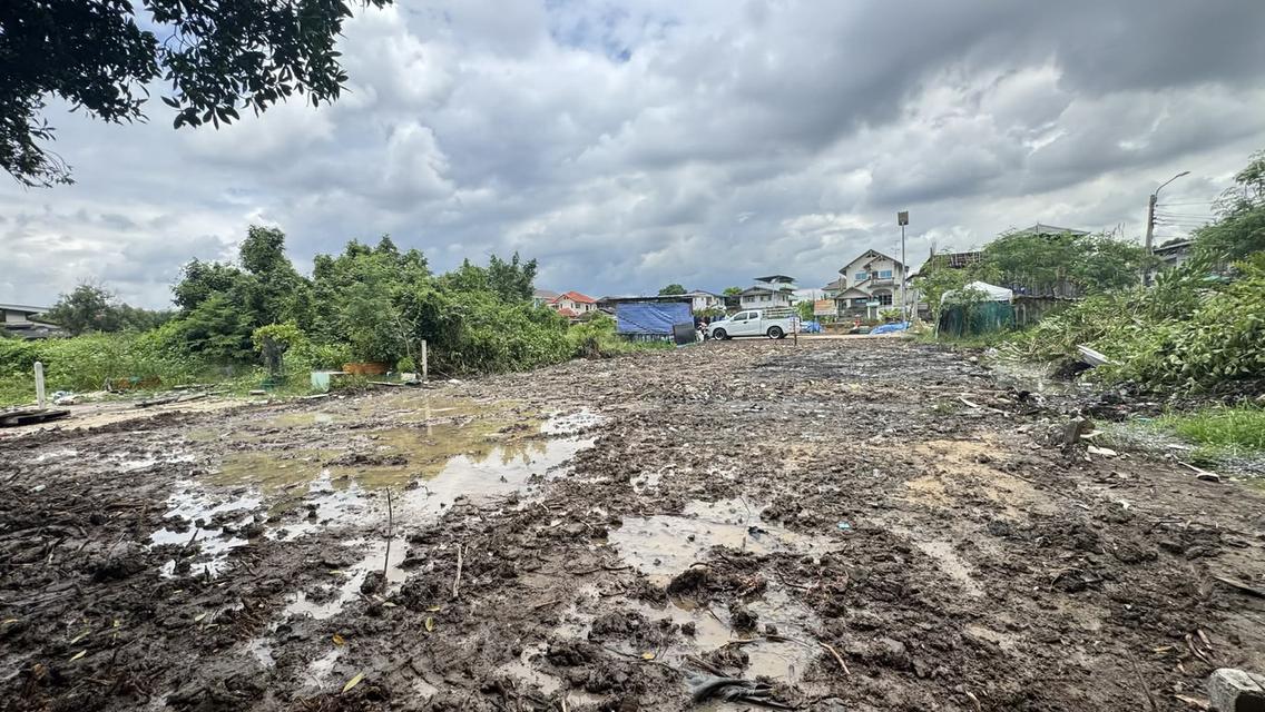 ขายที่ดิน 67.8 ตรว สุขสวัสดิ์ 78 ซอยวัดชังเรือง คู่สร้าง-คู่สม โครงการ3 ซอย 4/3 ราคาถูก ใกล้ตลาดคู่สร้าง 9