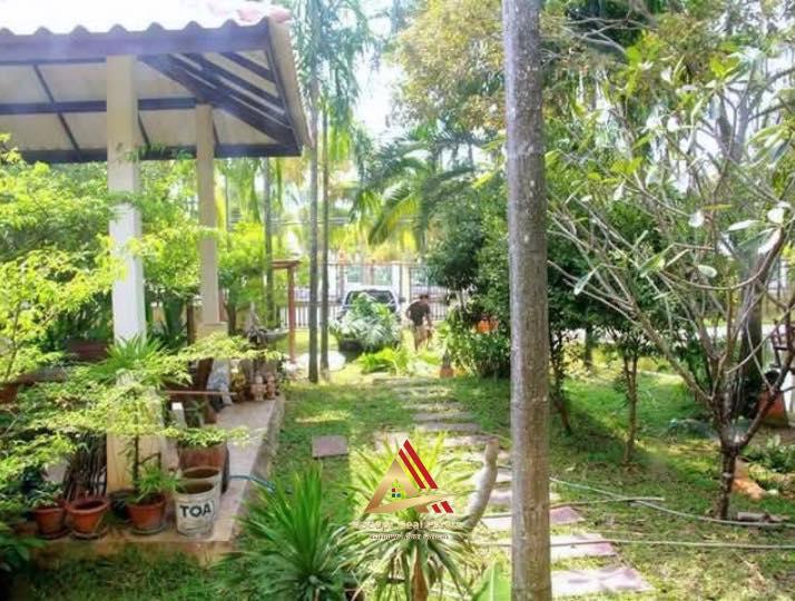 บ้านสไตล์บาหลีสุดหรูใจกลางเมือง บ้านฉาง ระยอง บนเนื้อที่ 300 ตร.ว. 2