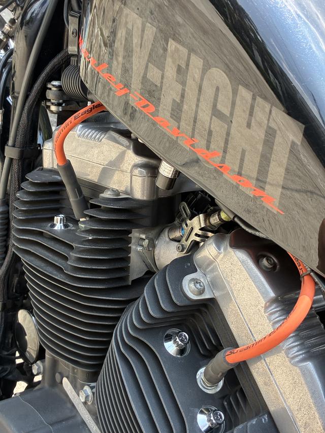 Sporter48 2015 Harley รูปที่ 11