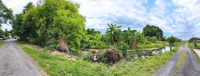 🌿 ขายที่ดินแปลงใหญ่ ติดถนนคลองเก้า เขตหนองจอก กรุงเทพมหานคร 3