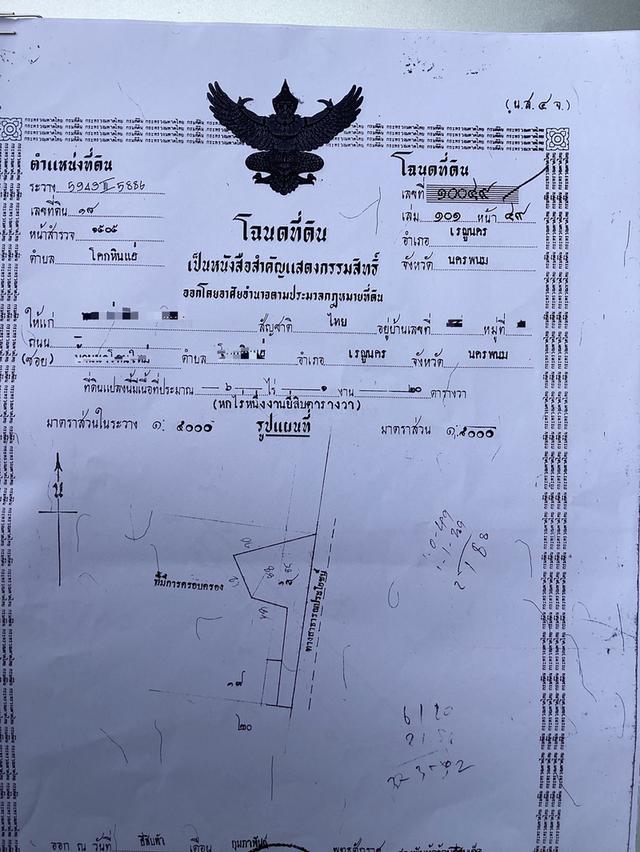 ขายที่ดินสวนป่า6ไร่หน้ากว้างติดถนนเข้าถึงสะดวก 4