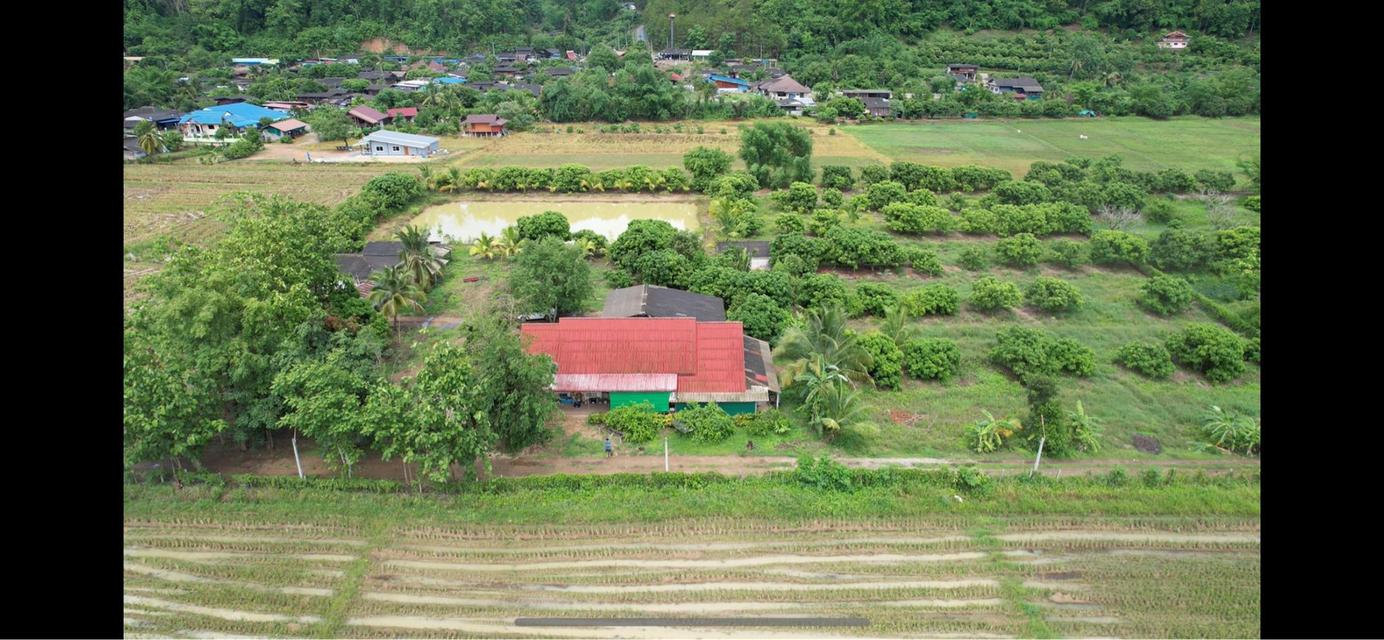 ที่ดินร้านอาหารปู๋หลงโต้ง เชียงดาว 3