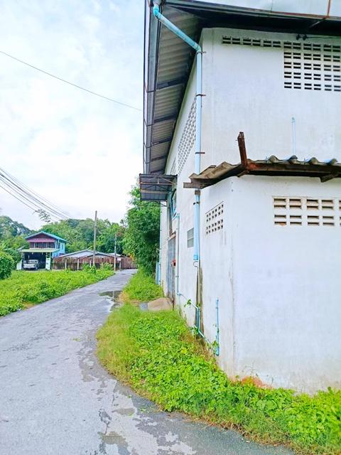 ตลาดบางบอน5 1.0 กม.เทคนิคราชสิทธาราม ให้เช่าโกดัง อยู่อาศัย 60 ตร.วา.240 ตร.ม.รร.วัดศรีนวลธรรมวิมล 1.4 กม. หาของกินง่าย  8