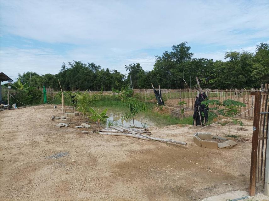 ขายที่ดินเปล่าพร้อมถม ต.สง่าบ้าน อ.ดอยสะเก็ด จ.เชียงใหม่ รูปที่ 16