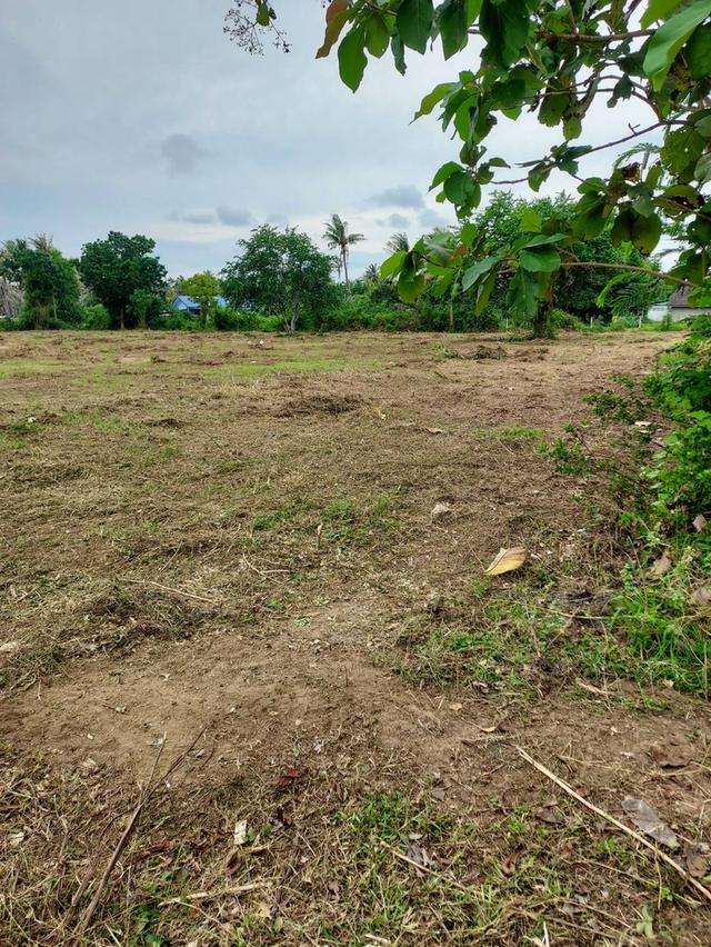 ที่ดิน 9 ไร่ 3 งาน พื้นที่ คั่นกระได ต.อ่าวน้อย อ.เมือง จ.ประจวบ 7