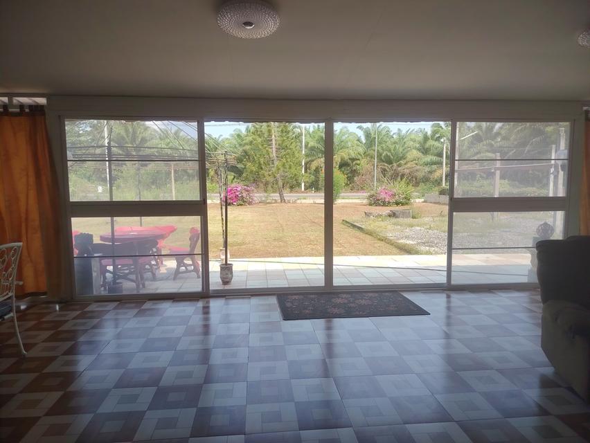 ขายบ้านเดี่ยว #ติดถนนหลัก หลังใหญ่ เนื้อที่ 3 งาน 43 ตรว. 🏠 ม.ซันนี่วิลล์ ซ.วัดประเดิม #เมืองชุมพร 💒 3 ห้องนอน 3 ห้องน้ำ 1ครัว ห้องโถงด้า 6