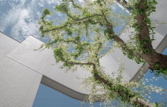 ขายบ้านเดี่ยว 5 ชั้น 55 สาธร ตั้งอยู่ใจกลางเมืองสาทร ซอย 15 เพียงไม่กี่ก้าวถึงสถานี BTS สุรศักดิ์ พื้นที่ใช้สอย 460 ตร.ม.3 ห้องนอน , 4 ห้องน้ำ 8