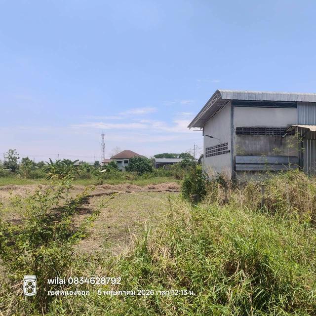 ขายด่วนที่ดิน 165.7 ตรว ติดถนนหินคลุก ถนนมิตรไมตรี หนองจอก กทม. 4
