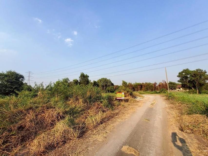 ขายด่วนที่ดิน 100 ตารางวา - ดี ติดถนนคอนกรีต 2 คลอง 12 หนองเสือ ปทุมธานี 5