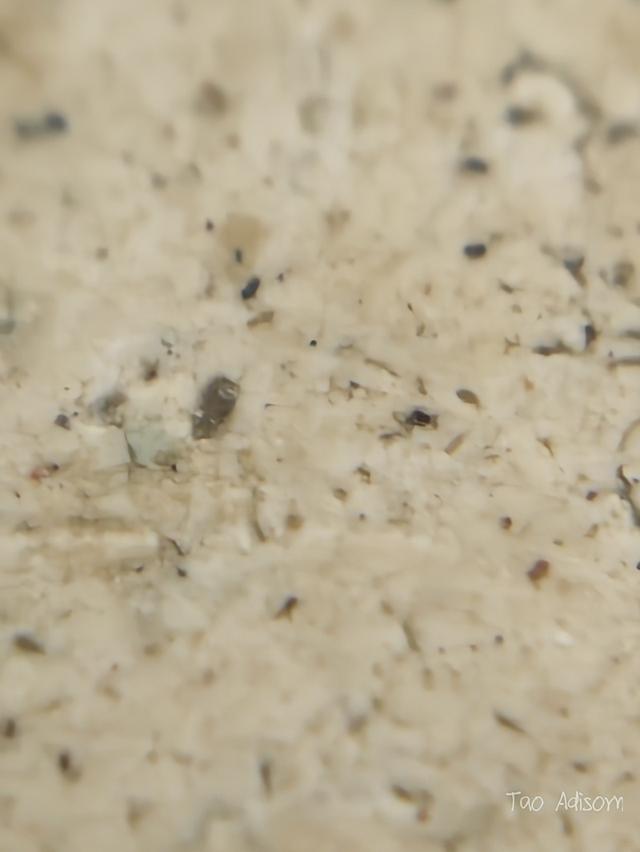 พระสมเด็จวัดระฆังโฆสิตาราม 6