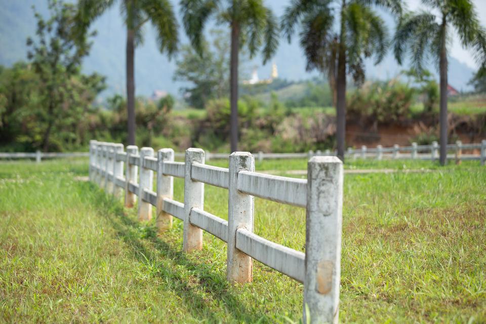 ขายที่ดินจัดสรรแปลงสวยเขาค้อ 2