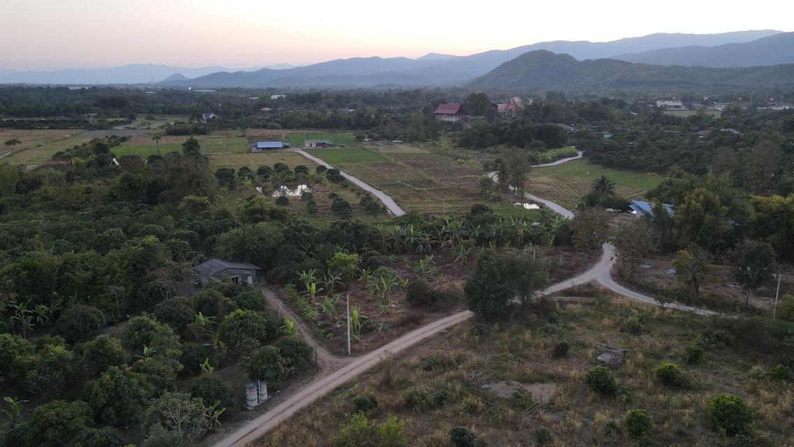 🌳ขายที่ดินเจ้าของขายเอง ด่วน📌 11