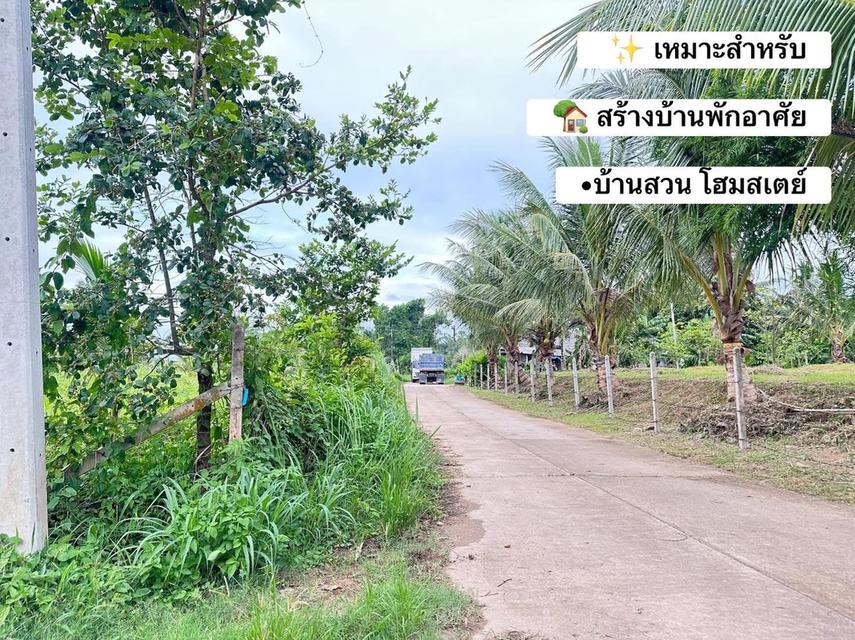 ✨ ขายด่วน! ที่ดินเมืองชุมพร 3 ไร่ 10 ตร.วา ทำเลดี ใกล้เมือง ติดถนน 3 ด้าน✨ 1