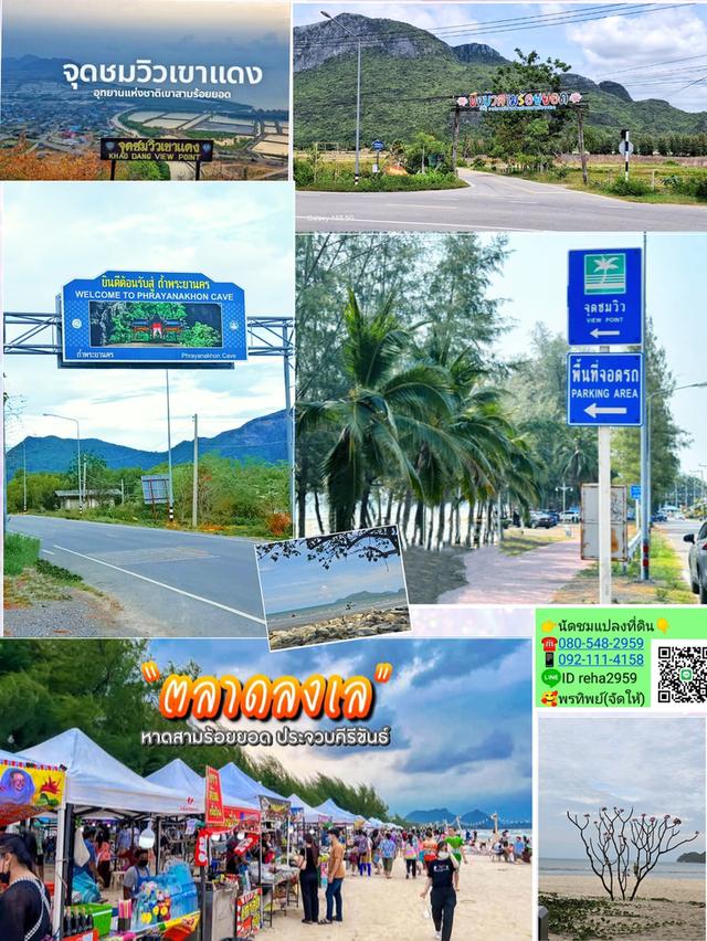 ายที่ดินเปล่า 8