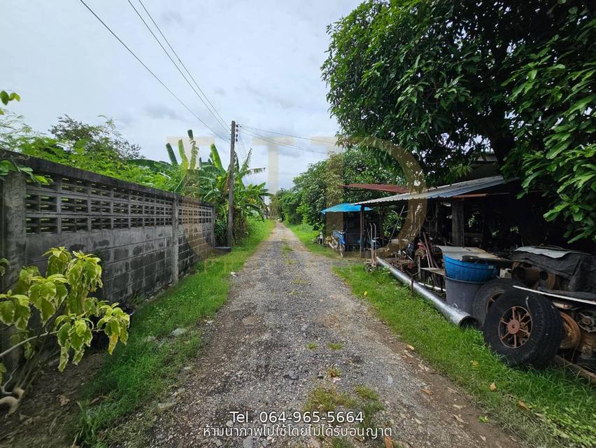 ขายที่ดินถมแล้ว 100 ตร.ว. ซอยหนองระแหง 4 คลองสามวา แปลงสวย ทรงสี่เหลี่ยมจัตุรัส เหมาะสำหรับสร้างบ้านอยู่อาศัย 8