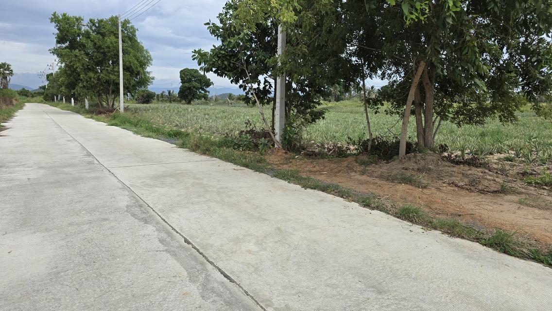 ที่ดินแปลงสวย ใกล้ทะเล ใกล้รถไฟความเร็วสูง 4