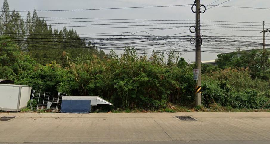 ขายที่ดินเปล่า ทำเลทอง ใกล้เซ็นทรัล มหาชัย