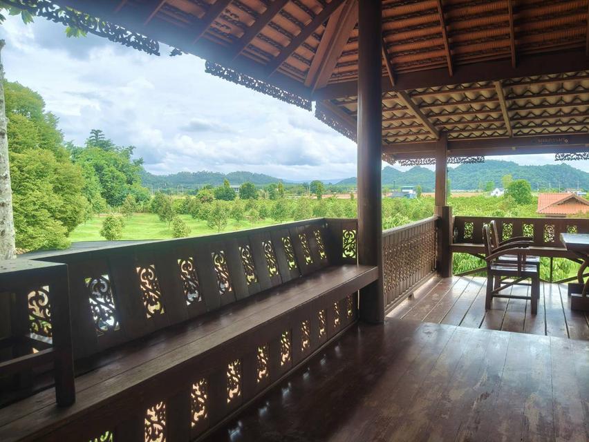 ขายที่สวนทุเรียน เขาใหญ่ ปากช่อง บ้านสวนผลไม้ คลองม่วง นครราชสีมา ที่ดิน 11 ไร่ บ้านไม้เรือนไทย ใกล้ภูเขา วิวเขาล้อมรอบสวยมาก ที่สูงอากาศดี 0879074045 6