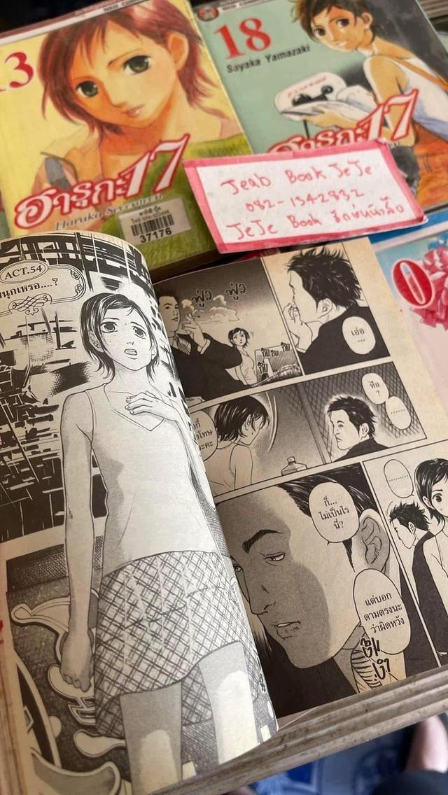 หนังสือการ์ตูน ฮารุกะ 17 1-19 จบ รูปย่อยที่ 4