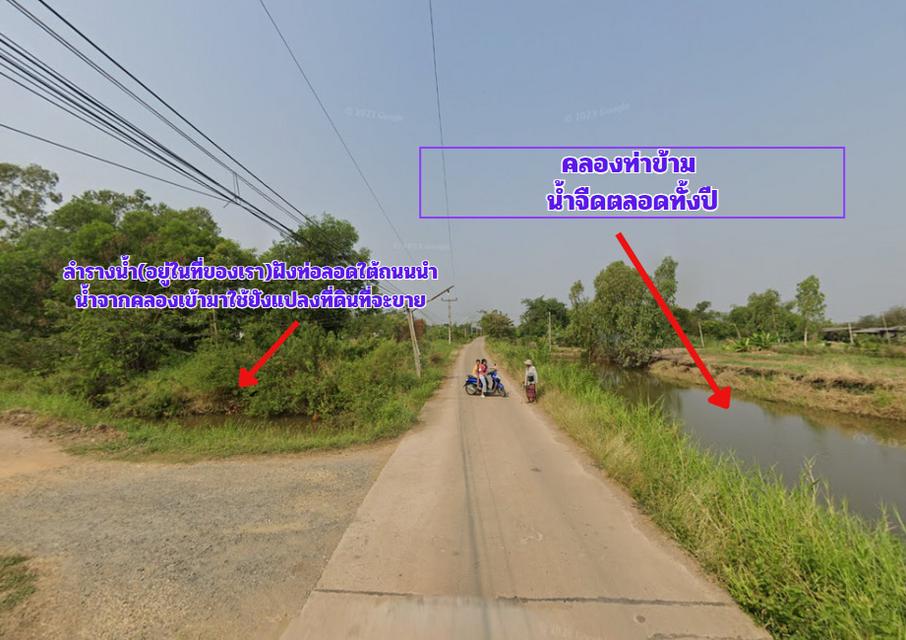ขายถูกที่สุด ที่ดิน 4 ไร่ๆละ 5.5 แสน ต.ท่าข้าม อ.พนัสนิคม จ.ชลบุรี