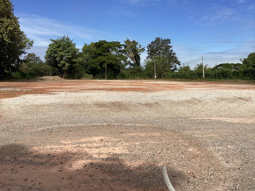 ที่ดินเปล่า 5