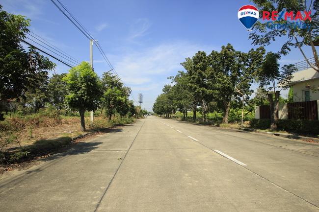 ที่ดินสร้างบ้านม.วริยาวิลล์ บรมราชชนนี พุทธมณฑลสาย4 ใกล้มหิดลศาลายา แปลงมุม ถนนเมน 305 ตร.ว สร้างบ้าน สำนักงาน ราคาพิเศษ 7