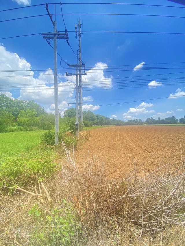 ขายที่ดินเปล่าติดถนน 2