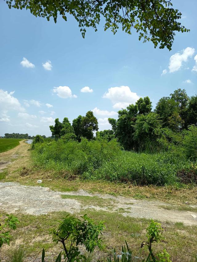 ที่ดินนิมิต​ใหม่​ 3