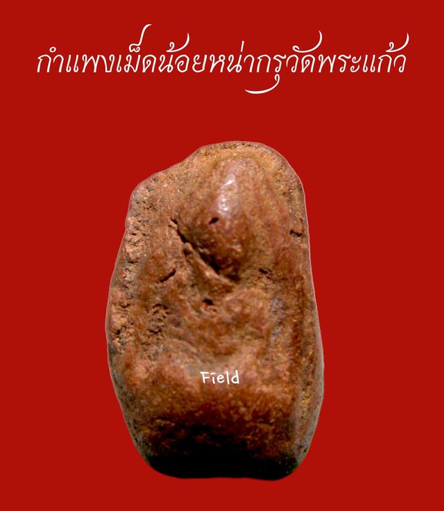 เม็ดน้อยหน่ากรุวัดพระแก้วกำแพงเพชร