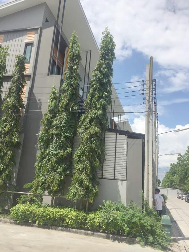 เช่า / ขาย Eco Space เกษตร นวมินทร์ บ้านมุม ต่อเติมหน้าบ้าน หลังบ้าน 11