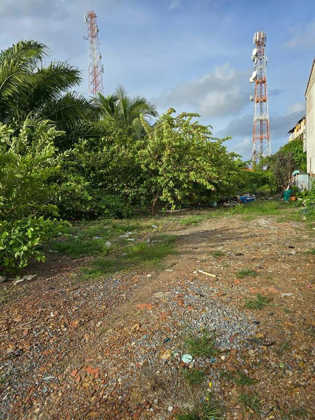 ที่ดินใกล้หาด บนเกาะลันตาใหญ่ เจ้าของขายเอง 5